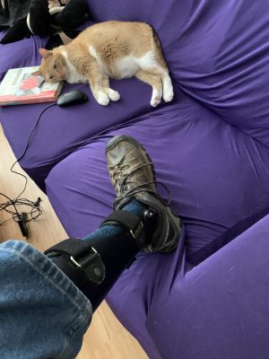 Leg brace (and unconcerned cat with mouse)