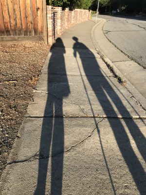 Shadows with walking sticks